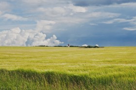ERG_3079