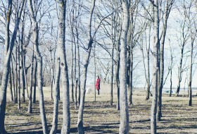 ERG_7394