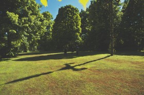 midsommar i skuggan